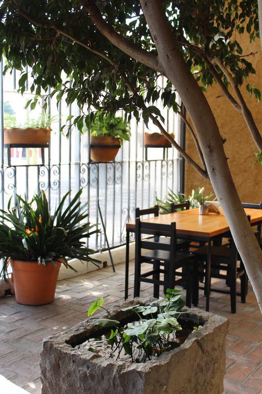 Hotel Rustiko Oaxaca Ngoại thất bức ảnh